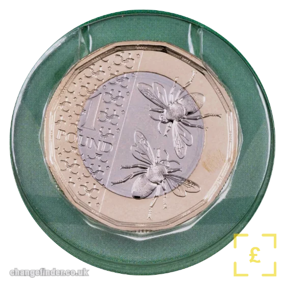 2024 Bees — £1